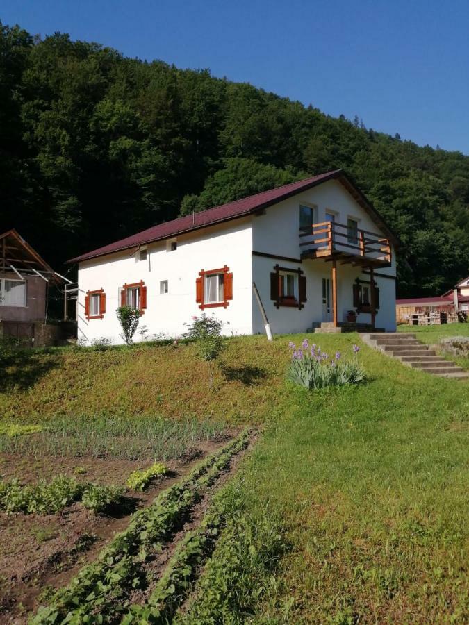 Pensiunea Bobu Hotel Izvoru Muntelui Exterior photo